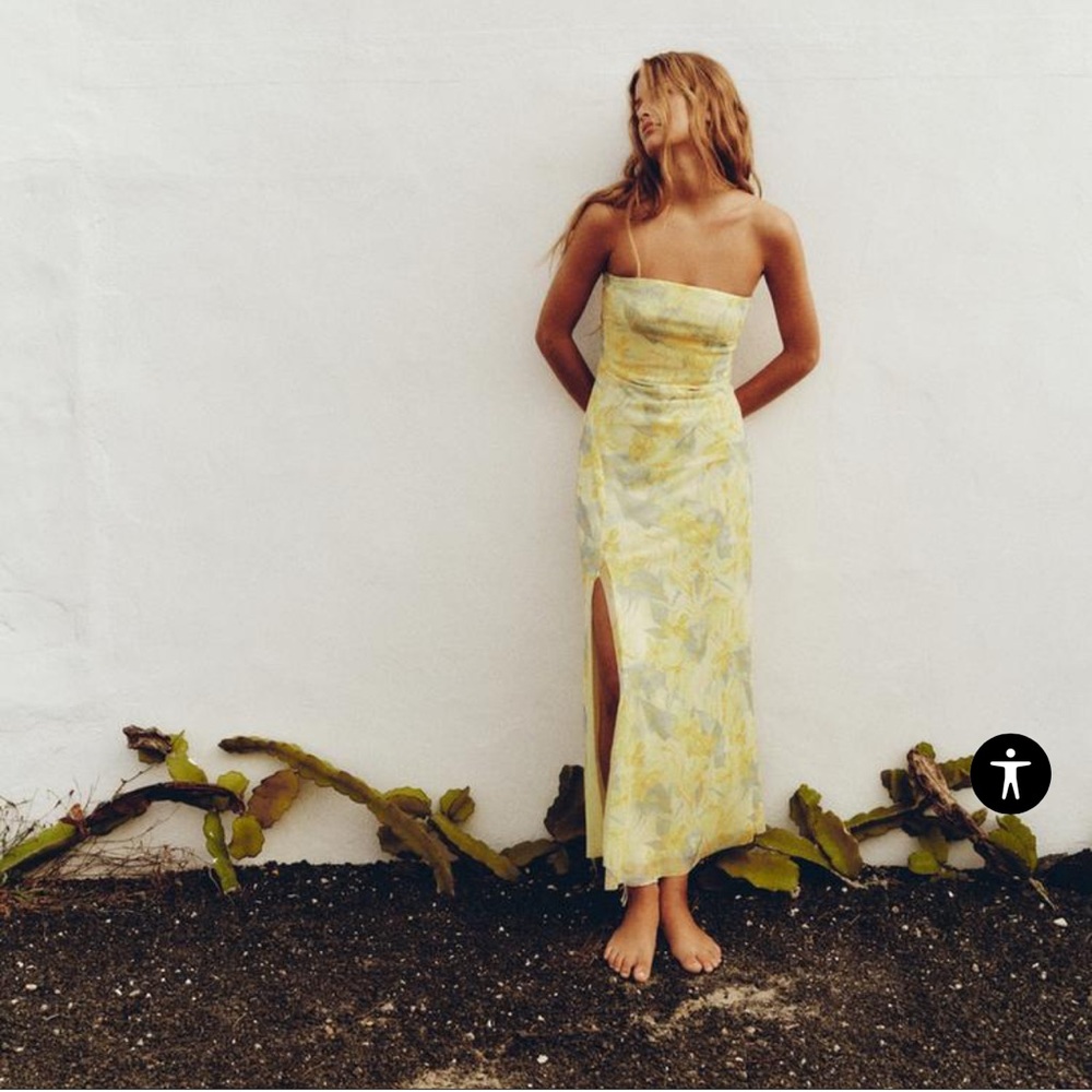 Zara Strapless Printed Tulle Dress NWT